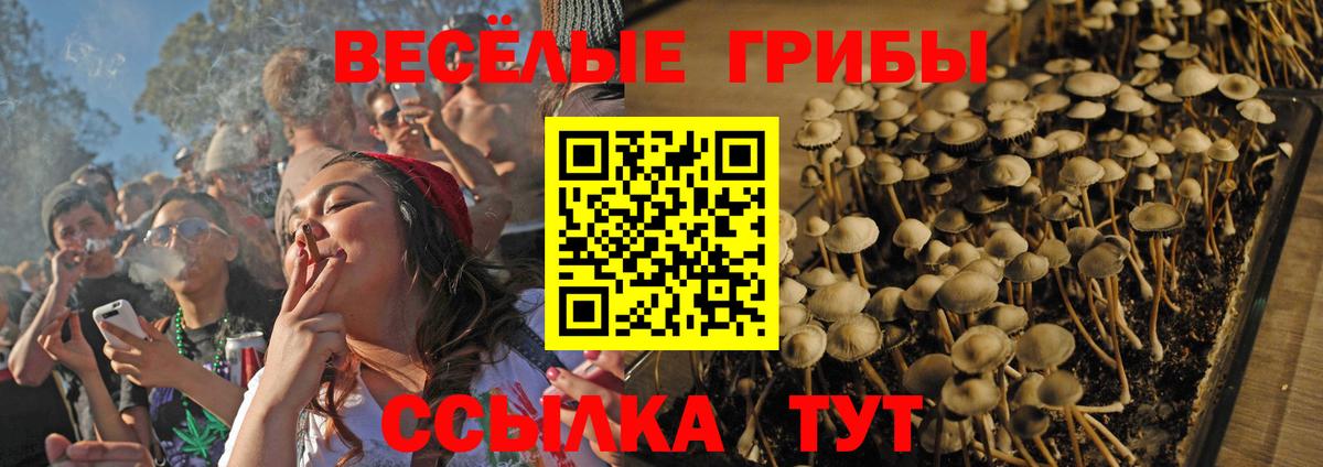 Галлюциногенные грибы мицелий  Вход с VPN  Апатиты 