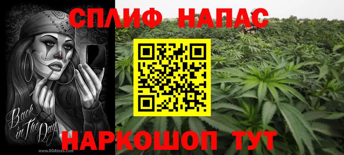 Каннабис семена Апатиты